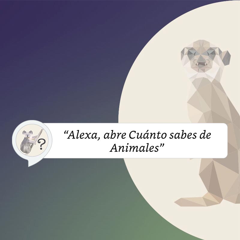 ¿Cuánto sabes de animales?